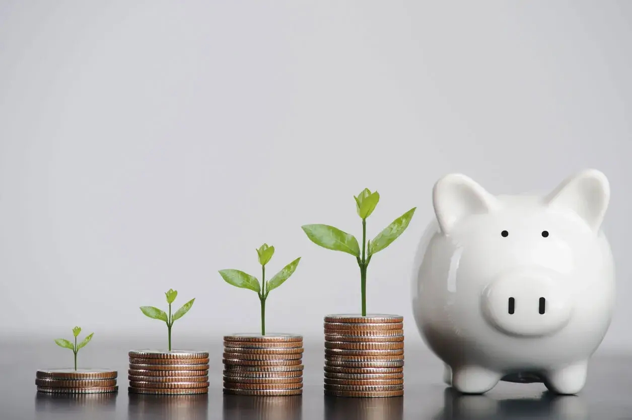 Kas ir investīcijas un kādi ir to veidi?