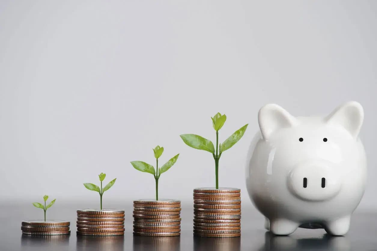 Kas ir investīcijas un kādi ir to veidi?