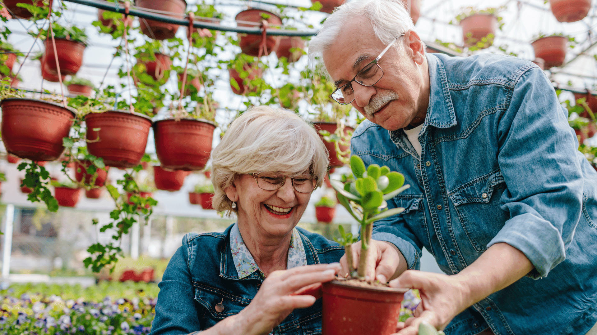 Senioru kreditēšana Latvijā | Vai pensionāri var saņemt kredītu?